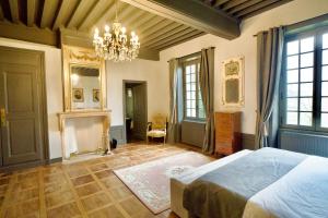 GenayChâteau de Rancé的一间带床和吊灯的卧室