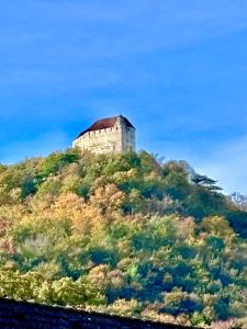 a castle on top of a hill with trees at Burgblick Apartment- 60qm, Küche, Waschmaschine, Streamingdienste in Seebenstein +5 photos