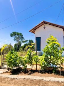 Zahrada ubytování Villa Coral azul - Cumuruxatiba
