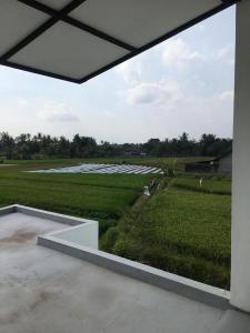 a view of a green field from a building at Villa Trojayan in Muntilan