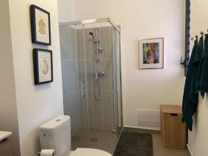 RémiréApt 1 chb belle déco résidence avec piscine的带淋浴和卫生间的浴室 更多7张照片