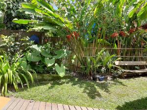 a garden with a fence and many plants at Casa do Artista in Trancoso