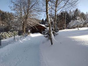 Villa in Lomnice near Giant Mountains v zime
