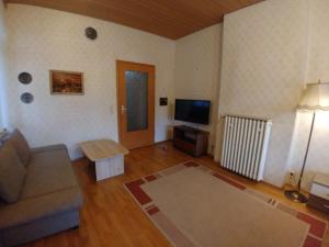 TV a/nebo společenská místnost v ubytování Ferienwohnung in Rüdesheim mit Rheinblick, Pension Le
