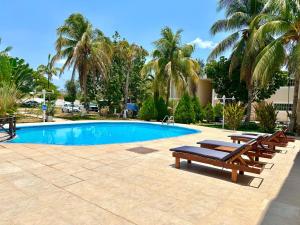 a swimming pool with two benches and palm trees at Villas Paraíso in Mérida