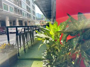 a bunch of plants on the side of a building at PJ Patong Resortel in Patong Beach