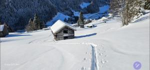 Ferienwohnung Schranz talvel
