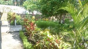梦幻小屋旅馆外面的花园