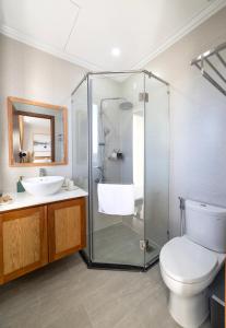 a bathroom with a shower and a toilet and a sink at Cerasoi Boutique Villa Dalat in Da Lat +38 photos