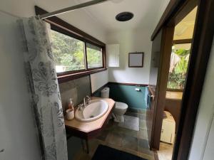 Un baño con lavabo, inodoro y ventana. en Riflebird Lodge, en Topaz