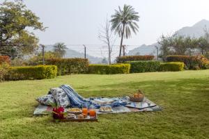 a picnic blanket with food on the grass in a park at SaffronStays Sylvan Farms - 3BR eco-luxury villa with birdwatching, trekking and organic farming in Mount Abu in Delmāra