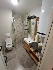 Un baño de Apartman Nina Divcinova