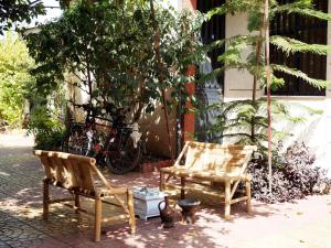 due panche sedute su un marciapiede accanto a un albero di Manuhie Backpackers Lodge a Bahar Dar