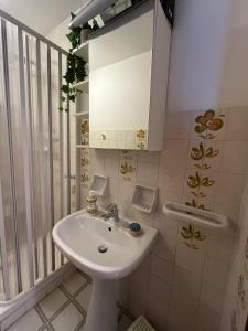 een badkamer met een wastafel en een spiegel bij Mirtilli in Prato Nevoso