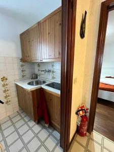 een keuken met houten kasten en een spoelbak bij Mirtilli in Prato Nevoso