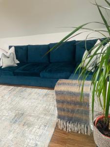 a blue couch in a living room with a potted plant at Belfast Loft in Belfast