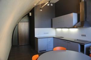 Kuchyň nebo kuchyňský kout v ubytování Rothko Museum residences