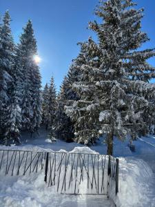 Harmony Peak Jahorina v zimě