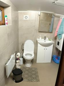 a small bathroom with a toilet and a sink at Sodyba 15 Ąžuolų Svečių namai 2 in Triušiai +57 photos