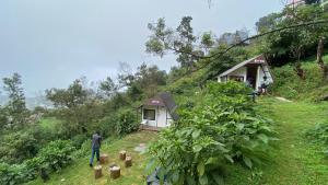 Zahrada ubytování Radiance Art Residency Poombarai Kodaikanal