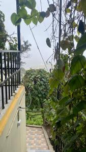 Zahrada ubytování Radiance Art Residency Poombarai Kodaikanal