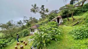 Zahrada ubytování Radiance Art Residency Poombarai Kodaikanal