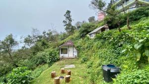 Zahrada ubytování Radiance Art Residency Poombarai Kodaikanal