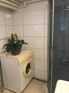 a washing machine in a bathroom with a plant on it at Leilighet i sentrum i Frederikshavn - Grete in Frederikshavn