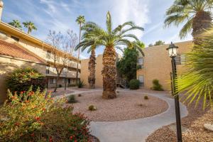 a courtyard with two palm trees and a street light at Scottsdale Miller in Scottsdale
