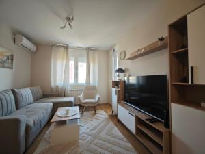 TV a/nebo společenská místnost v ubytování Apartment MARIJA