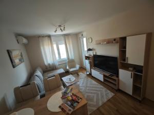 TV a/nebo společenská místnost v ubytování Apartment MARIJA
