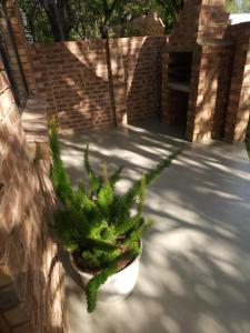 Aed väljaspool majutusasutust Bohemian Escape Midrand