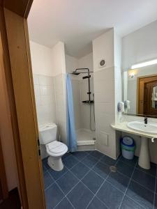 a bathroom with a toilet and a sink and a shower at Hotel Veștem in Veştem