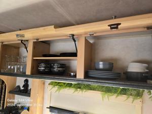 洛斯克里斯蒂亚诺斯Autocaravan,camper,campervan,motorhome,not driveable,only habitable的菜架和植物