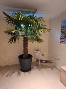 Fotografia z galérie ubytovania APARTAMENT WŁODEK v destinácii Jelenia Góra
