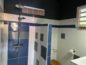 a bathroom with a shower with blue and white tiles at Saka Lodge in Le Gosier +15 photos
