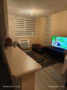 un soggiorno con divano e TV a schermo piatto di Departamento en excelente lugar para descansar a Puerto Montt