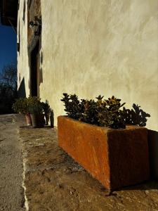 Φωτογραφία από το άλμπουμ του Casa rural Mas Arimany σε Cantonigros