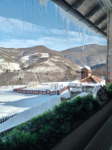 Phong cảnh thiên nhiên gần căn hộ