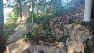 Fotografie z fotogalerie ubytování 5 srca v destinaci Stanići