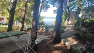 Fotografie z fotogalerie ubytování 5 srca v destinaci Stanići + 40 fotografií