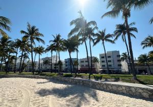 a row of palm trees on a sandy beach at Ocean Drive Rooftop Suite with Ocean Views & Terrace in Miami Beach