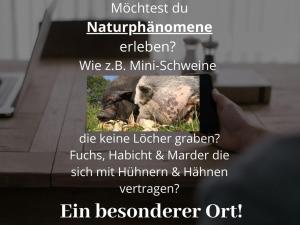 a person taking a picture of a picture of a rhino at Kleine einzigartige Ferienwohnung auf dem Bauernhof, direkt in der Natur mit Blick auf Schloss Braunfels in Braunfels