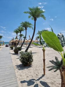 a sandy beach with palm trees and a boardwalk at Yvo 18 by Signature in Mamaia Nord +52 photos
