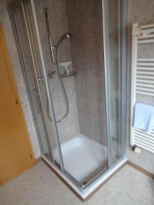 una ducha con puerta de cristal en un baño en Seeli, en Hofstetten  31 fotos más