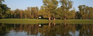 a large body of water with trees in the background at Gästepension - Elsterland am Sport- und Freizeitpark in Elster