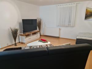 TV a/nebo společenská místnost v ubytování Waldr Apart Souterrain