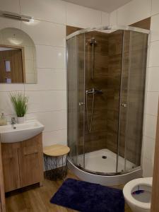 a bathroom with a shower and a sink at Agroturystyka Raj i Eden"Pod rzeźbami" in Krynki +42 photos