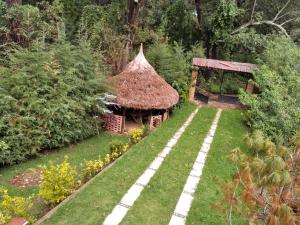 an aerial view of a house with a grass roof at Cabaña en el bosque-servicios limitados LEERLOS in El Carmen