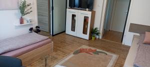TV a/nebo společenská místnost v ubytování 4 You Apartment in Leoben mit Balkon, Garten und kostenlosen Parkplatz